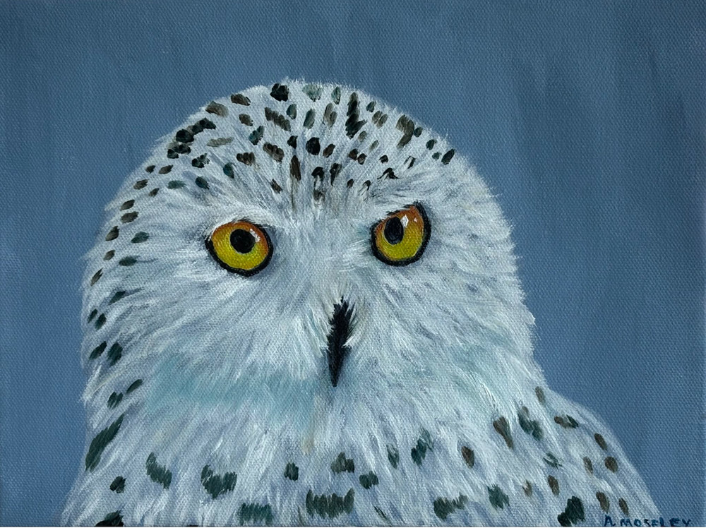 Snowy Owl Original Oil Painting