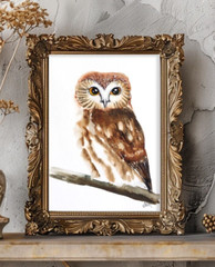 Owl Painting Bird Original Watercolor Nursery Wall Art Woodland Artwork