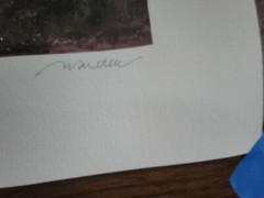 “Lakeland Home II” signed by Andrew Warden, serigraph #21 of 650 w/COA included