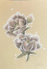 ORIGINAL Roses Painting Floral pastel charcoal artwork Botanical decor Artwork
