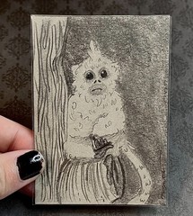 ACEO Original Art Cards Pencil Tree Primates Animal Snubnose Baby Monkey Nova
