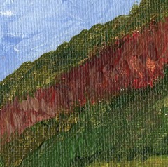 ORIGINAL ART HAND PAINTED APPALACHIAN TRAIL MOUNT ROGERS VA. USA BY SUE FURROW