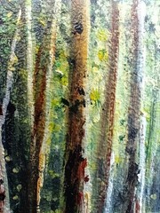 Birch Forest Original Oil Painting 4×6 Framed Signed Sunlit Landscape Path Art