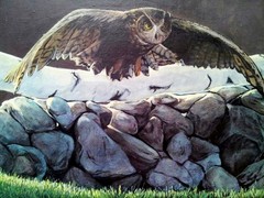 original acrylic wildlife owl painting on canvas