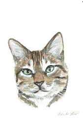 ACEO Original Watercolor Painting 2.5″x3.5″ Tabby Kitty Cat Pet Portrait