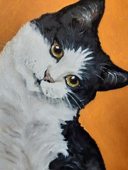 Black and White Cat Painting Cat Green Eyes Oil Artwork 12 x 9 Animal Art