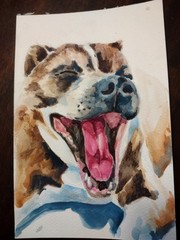 8×10 Commission Pet Watercolor Painting. Original , Signed