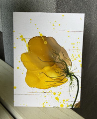 Aceo #079 Original Alcohol Ink Yellow Flower, Hand Painted, Signed by Artist
