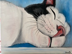 Original oil painting signed 11 x 14 in cute white and black cat sleeping