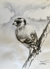 Impressionism Pastel Painting Drawing Dorothy Laz Bird