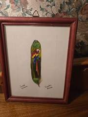 Vintage 2 JOSE GARRO – PARROT PAINTED on FEATHER – Costa Rica – Framed &SIGNED