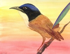Purple Crowned Fairy Wren, an original watercolor painting by inmate artist 444