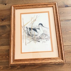 Mads Stage – Long-billed Bird & Chicks Watercolor Sketch, Framed Matted Signed