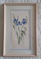 Blue Iris Flower Floral Watercolor Painting / Signed