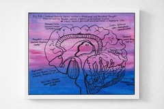 Anatomical Brain Art 11×14 Original Painting – Neuroscience Diagram Pop Surreal