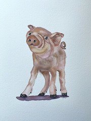 PIG BABY PIGLET NURSERY, CHILDREN’S SIMPLY SOFT ~ Watercolor ~ HAND PAINTED