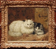 Hand Painted Oil Painting Classic White Persian & Black White Kitten Rest