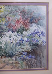 Antique 1900 English Watercolor Painting, Iris Garden, Villa Himalaya