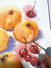 Original Watercolor Apricots & Cherries Painting Fruit Still Life Art 9×12 Inch