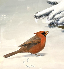Original Bird Art Painting Cardinals by Robert Verity Clem, Signed, 1956, Framed