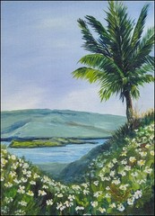 Super cute Hawiian scene from Maui. 8×11″ Mini print mounted on stretcher bars
