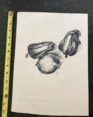 Ink Drawing Peppers Onion Obsieger Class 1957 Postenrieder Erich