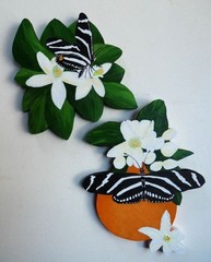 Hand Painted Florida State Flower & State Butterfly For Wall Art By Phyllis