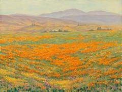 California Wildflowers Original Landscape Oil Plein Air Painting 12×16