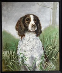 Vintage Oil Painting British Portrait of Faithful SPRINGER SPANIEL DOG Beautiful