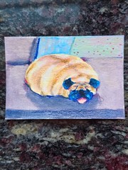 „Potato Pug“ Aceo Original Mixed Media Art Trading Card Cute Dog Painting