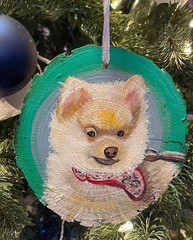 Your Pet, Painted with Love ❤️ • Custom Pet Portrait on Canvas • Perfect Gift!