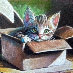 ACEO ORIGINAL PRINT #/ 25 Card Landis Whimsy Kitten Library „Sleeping Calico“
