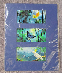 Three Watercolours Ready to Frame – Bird, Butterfly, Cockatoo – by Artist Teval