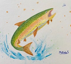 Rainbow Trout ORIGINAL Watercolor Painting Jumping Fish Art Fishing 9×12