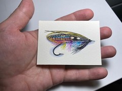 Watercolor Painting Fly Fishing Lure Bait Fish Hook Colored Feathers ACEO Art ]