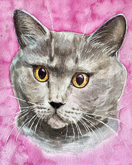 Custom Watercolor Pet Portraits From Photo [A4 Format] 8.3 x 11.7 inches
