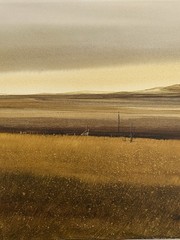 Mark Launer American Vintage Great Plains Rural Grassland Barn Modern Landscape