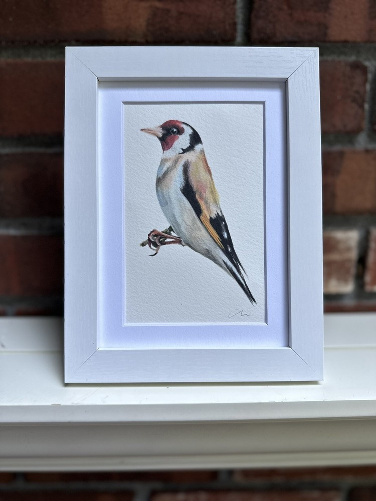 Goldfinch. Print of an original watercolor. 5×7″ with white mat 8×10″ framed
