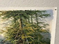 Original Waterfall Forest Mountainscape Canvas Oil Painting