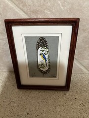 Framed Hand Painted Parrot on a Feather Signed Feather Art 6 1/2 x 8 Beautiful