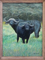 Realism oil on Masonite – 1975 – Water Buffalo – Artist: Harry Beukelaer