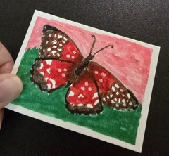 ACEO ATC OOAK Butterfly Watercolor Pen Scarlett Flight By Stacey Ann