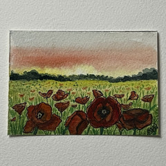 Original ACEO Watercolor Red Poppy Field Landscape OOAK Artist Trading Card