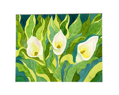 PAINTING WATERCOLOR ORIGINAL ART CALLA LILY FLOWERS WHITE YELLOW 11X14 MAT 16X20