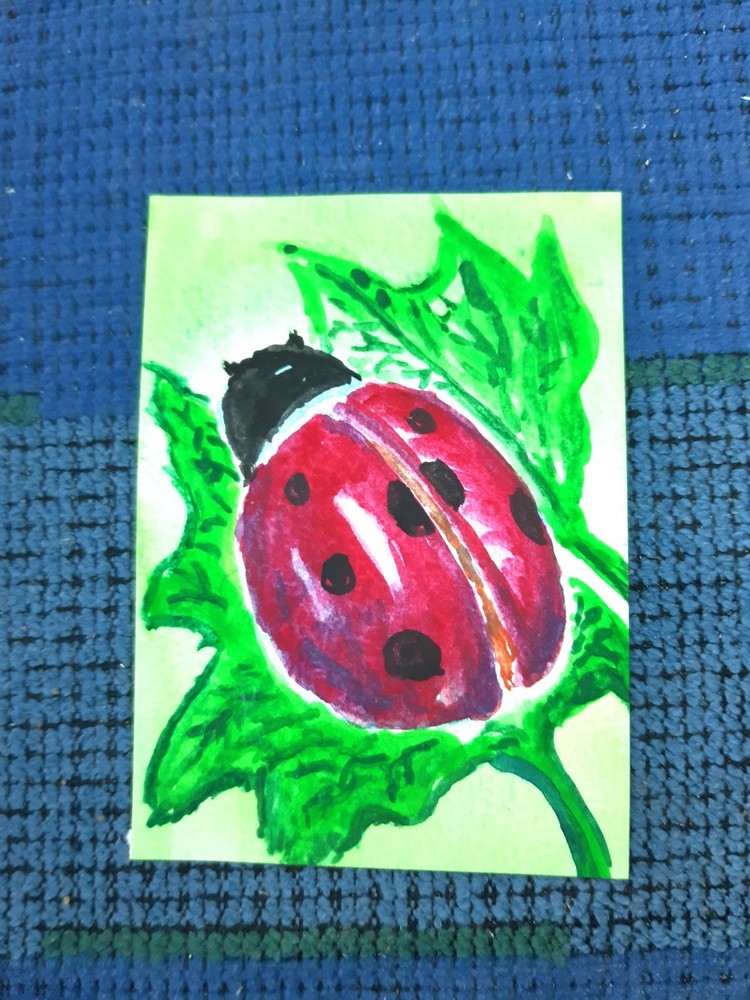 ACEO Original Painting ladybug bug insects by Soili Laakso