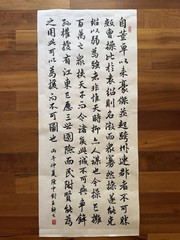 Unframed Chinese Calligraphy Freehand Longzhong Plan 隆中對2649