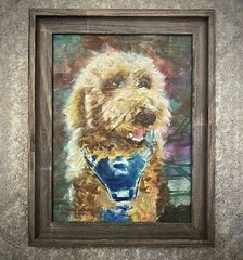 Original Oil Painting Portrait Golden Doodle Poodle Dog Home Decor Art 16×12 SGN