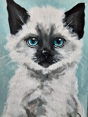 Siamese Cat Painting Pet Original Art Framed 7 x5 Cat Blue Eyes Oil Painting
