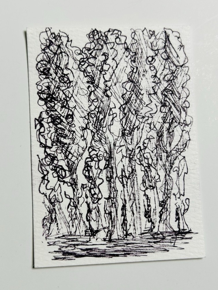 ACEO Original Pen And Ink Lanscape Nature Sketch Drawing Miniature Art