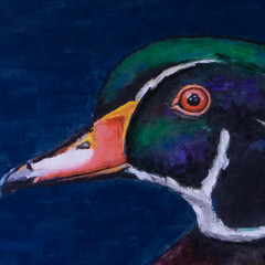 Hand Painted Original Wood Duck Drake by Jeff Miller, Not a print, Signed
